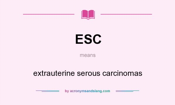 What does ESC mean? It stands for extrauterine serous carcinomas