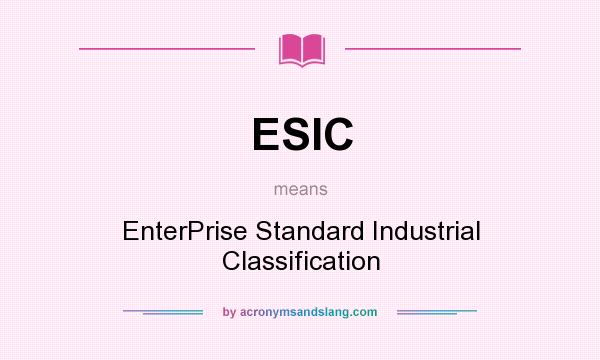 What does ESIC mean? It stands for EnterPrise Standard Industrial Classification