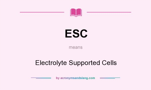 What does ESC mean? It stands for Electrolyte Supported Cells