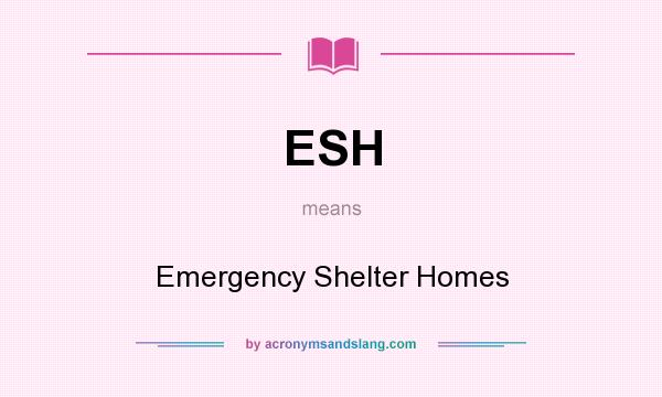 What does ESH mean? It stands for Emergency Shelter Homes