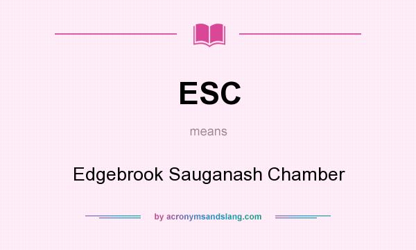 What does ESC mean? It stands for Edgebrook Sauganash Chamber