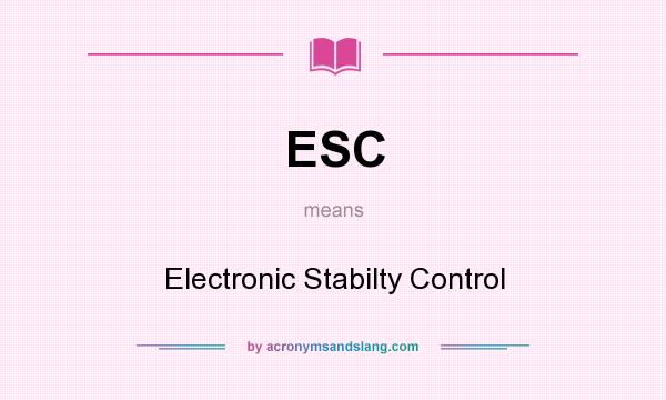 What does ESC mean? It stands for Electronic Stabilty Control