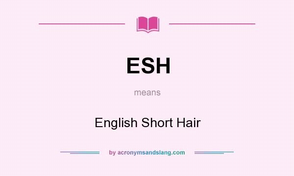 What does ESH mean? It stands for English Short Hair
