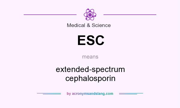 What does ESC mean? It stands for extended-spectrum cephalosporin