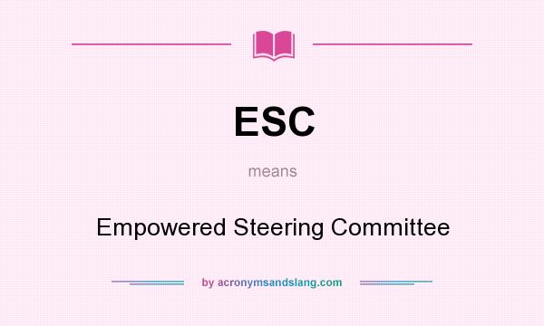 What does ESC mean? It stands for Empowered Steering Committee