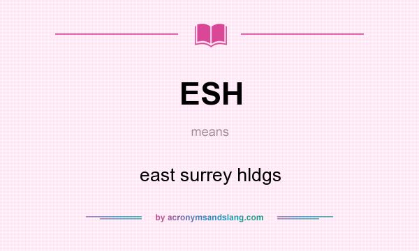 What does ESH mean? It stands for east surrey hldgs