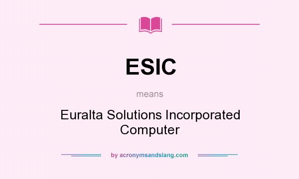 What does ESIC mean? It stands for Euralta Solutions Incorporated Computer
