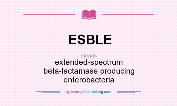 What does ESBLE mean? It stands for extended-spectrum beta-lactamase producing enterobacteria