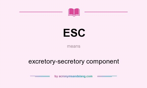 What does ESC mean? It stands for excretory-secretory component