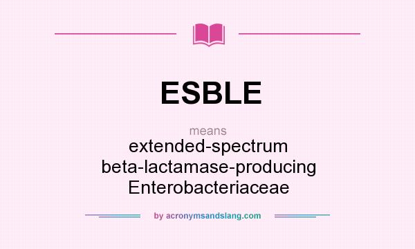 What does ESBLE mean? It stands for extended-spectrum beta-lactamase-producing Enterobacteriaceae