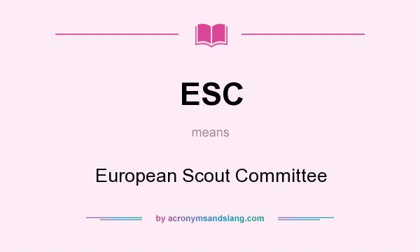 What does ESC mean? It stands for European Scout Committee
