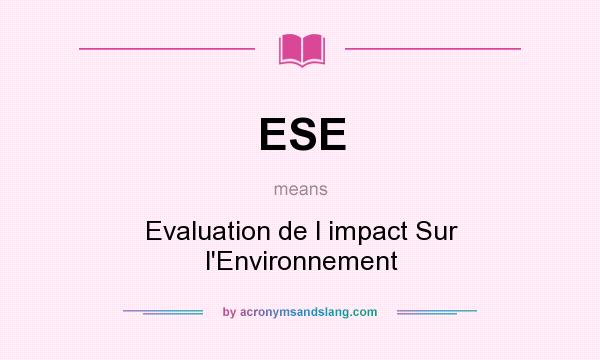 What does ESE mean? It stands for Evaluation de l impact Sur l`Environnement