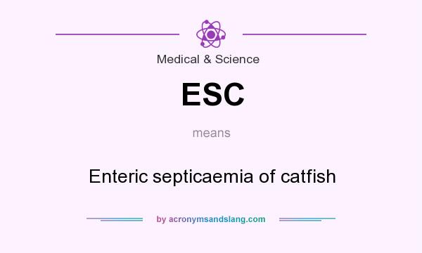 What does ESC mean? It stands for Enteric septicaemia of catfish