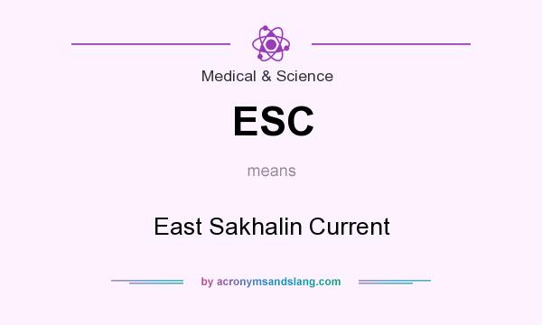 What does ESC mean? It stands for East Sakhalin Current