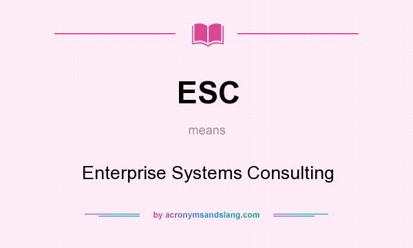 What does ESC mean? It stands for Enterprise Systems Consulting