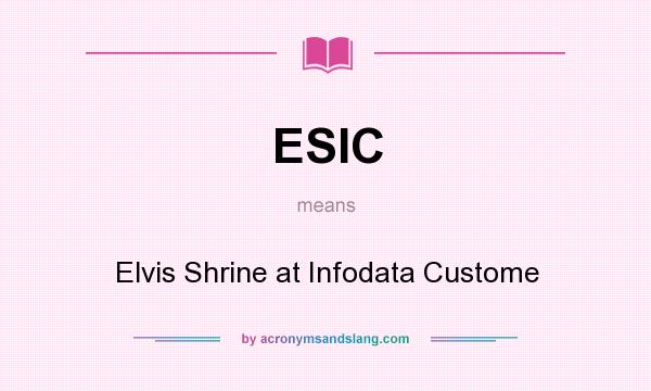 What does ESIC mean? It stands for Elvis Shrine at Infodata Custome