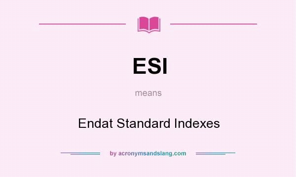 What does ESI mean? It stands for Endat Standard Indexes