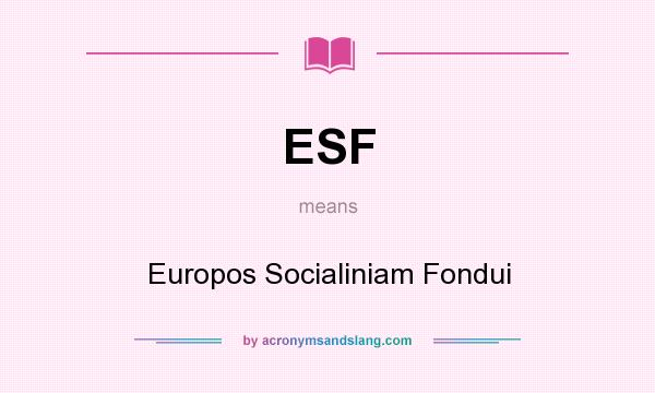 What does ESF mean? It stands for Europos Socialiniam Fondui