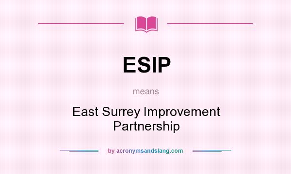 What does ESIP mean? It stands for East Surrey Improvement Partnership