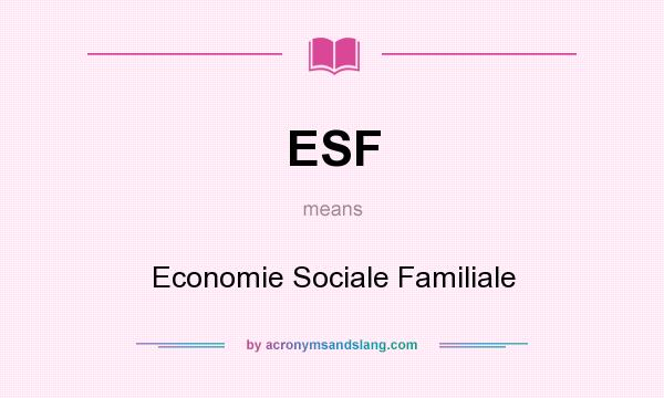 What does ESF mean? It stands for Economie Sociale Familiale