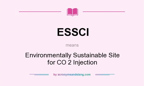 What does ESSCI mean? It stands for Environmentally Sustainable Site for CO 2 Injection
