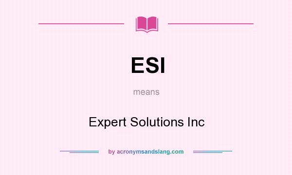 What does ESI mean? It stands for Expert Solutions Inc