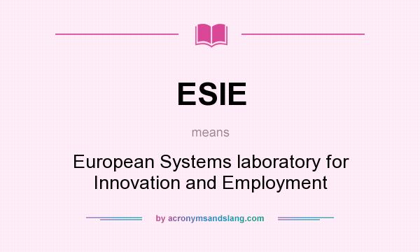 What does ESIE mean? It stands for European Systems laboratory for Innovation and Employment