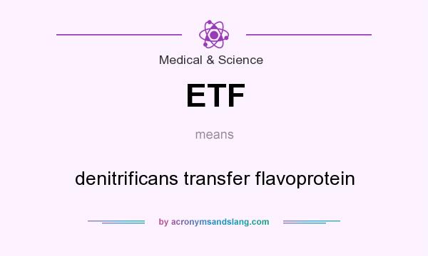 What does ETF mean? It stands for denitrificans transfer flavoprotein