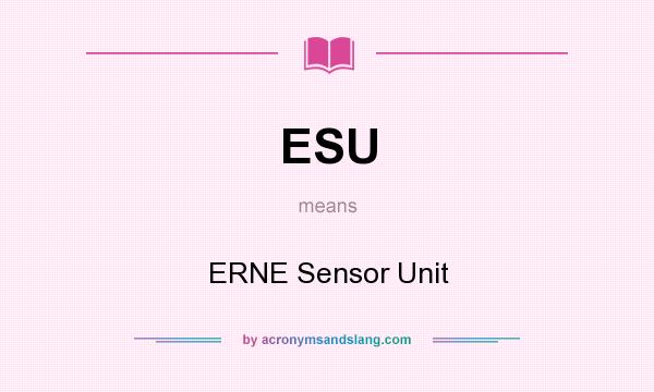 What does ESU mean? It stands for ERNE Sensor Unit