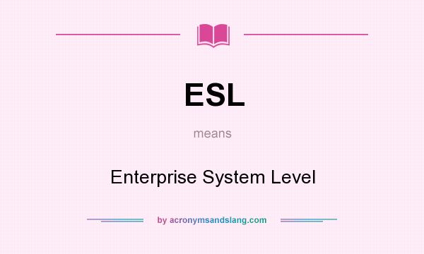 What does ESL mean? It stands for Enterprise System Level