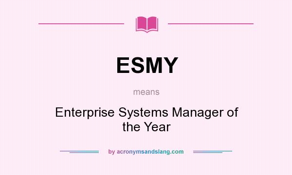 What does ESMY mean? It stands for Enterprise Systems Manager of the Year