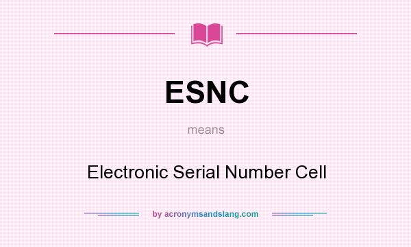 What does ESNC mean? It stands for Electronic Serial Number Cell
