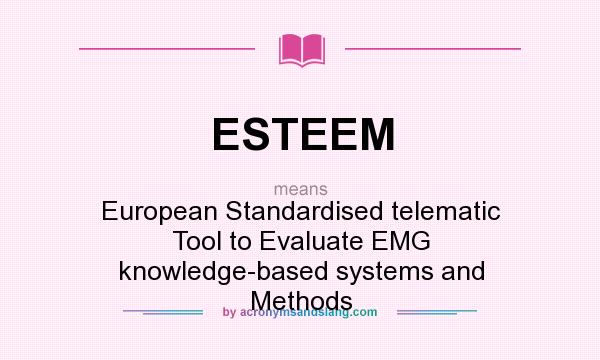 What does ESTEEM mean? It stands for European Standardised telematic Tool to Evaluate EMG knowledge-based systems and Methods