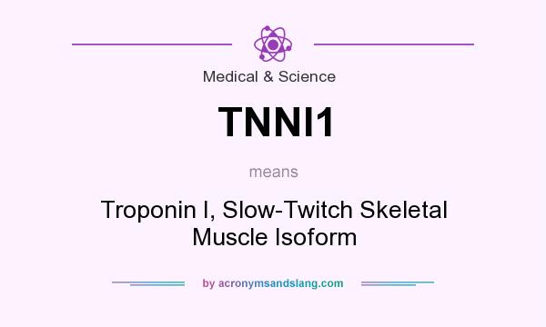 What does TNNI1 mean? It stands for Troponin I, Slow-Twitch Skeletal Muscle Isoform