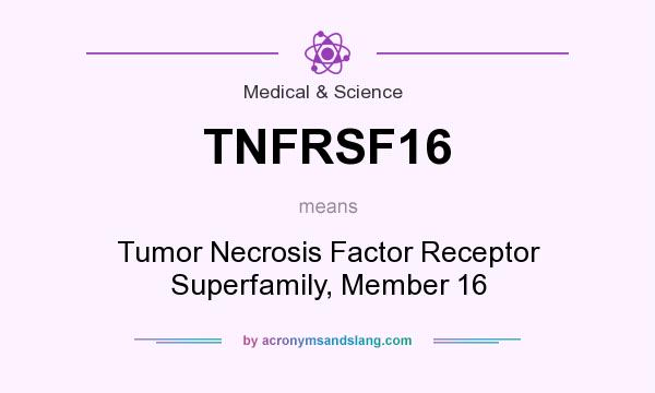 What does TNFRSF16 mean? It stands for Tumor Necrosis Factor Receptor Superfamily, Member 16