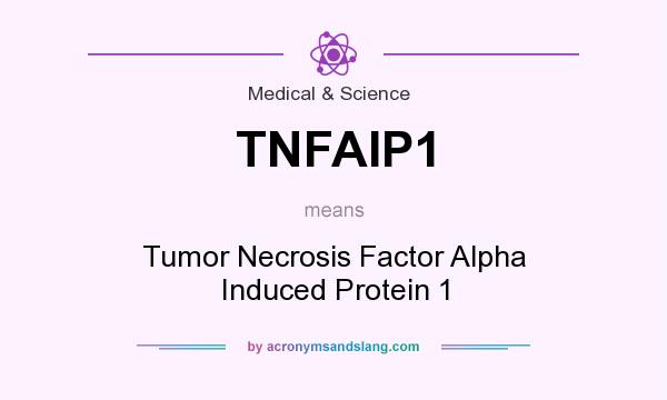 What does TNFAIP1 mean? It stands for Tumor Necrosis Factor Alpha Induced Protein 1