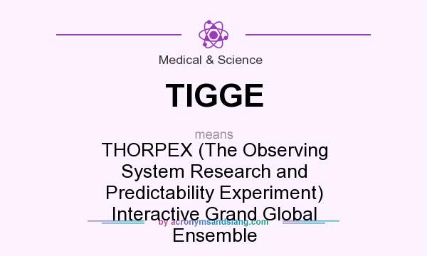 What does TIGGE mean? It stands for THORPEX (The Observing System Research and Predictability Experiment) Interactive Grand Global Ensemble