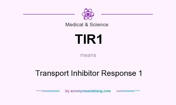 What does TIR1 mean? It stands for Transport Inhibitor Response 1