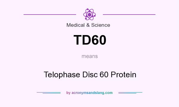 What does TD60 mean? It stands for Telophase Disc 60 Protein