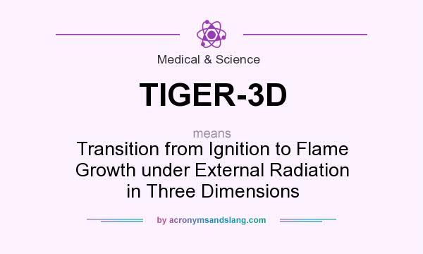 What does TIGER-3D mean? It stands for Transition from Ignition to Flame Growth under External Radiation in Three Dimensions