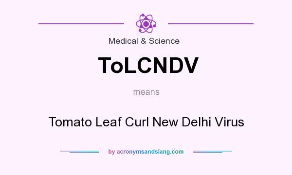 What does ToLCNDV mean? It stands for Tomato Leaf Curl New Delhi Virus