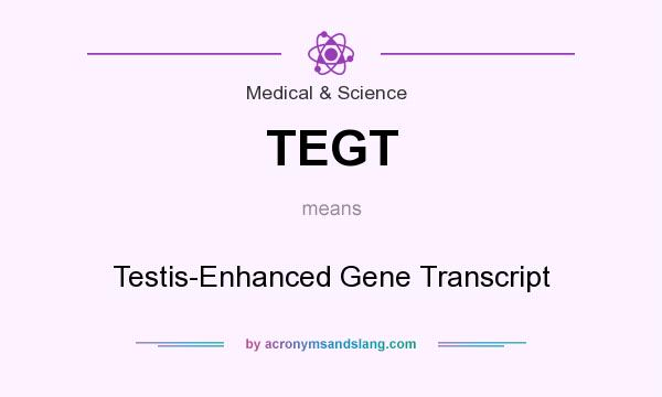 What does TEGT mean? It stands for Testis-Enhanced Gene Transcript