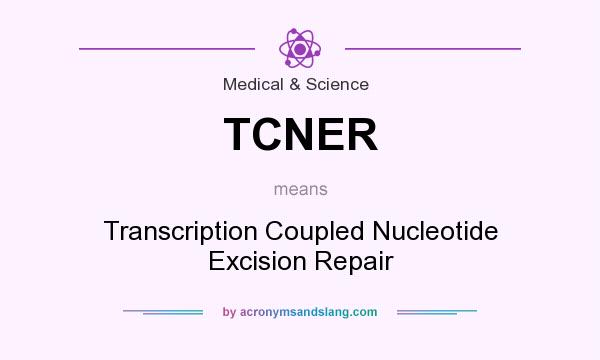 What does TCNER mean? It stands for Transcription Coupled Nucleotide Excision Repair
