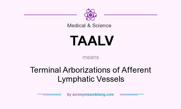 What does TAALV mean? It stands for Terminal Arborizations of Afferent Lymphatic Vessels