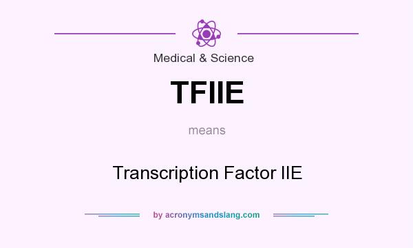 What does TFIIE mean? It stands for Transcription Factor IIE