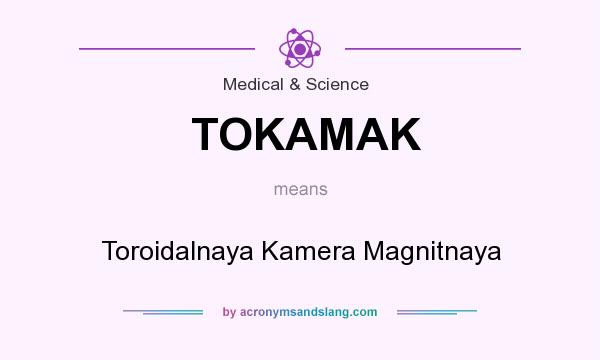 What does TOKAMAK mean? It stands for Toroidalnaya Kamera Magnitnaya