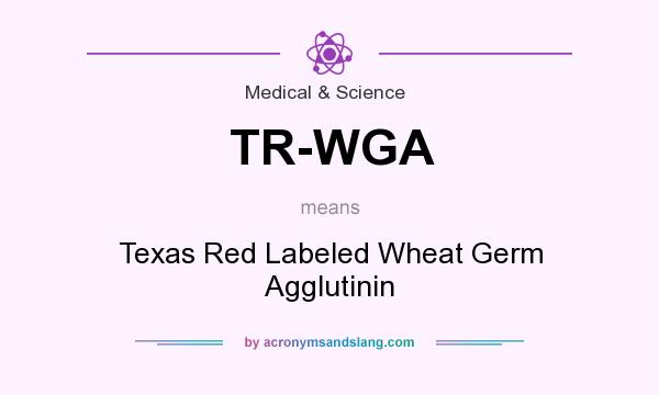 What does TR-WGA mean? It stands for Texas Red Labeled Wheat Germ Agglutinin