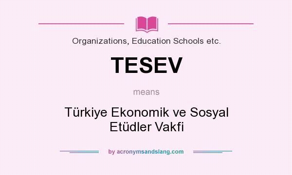What does TESEV mean? It stands for Türkiye Ekonomik ve Sosyal Etüdler Vakfi
