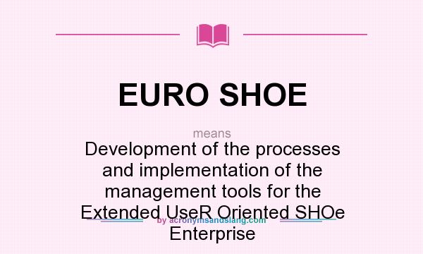 What does EURO SHOE mean? It stands for Development of the processes and implementation of the management tools for the Extended UseR Oriented SHOe Enterprise