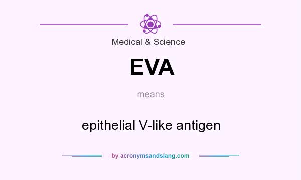 What does EVA mean? It stands for epithelial V-like antigen